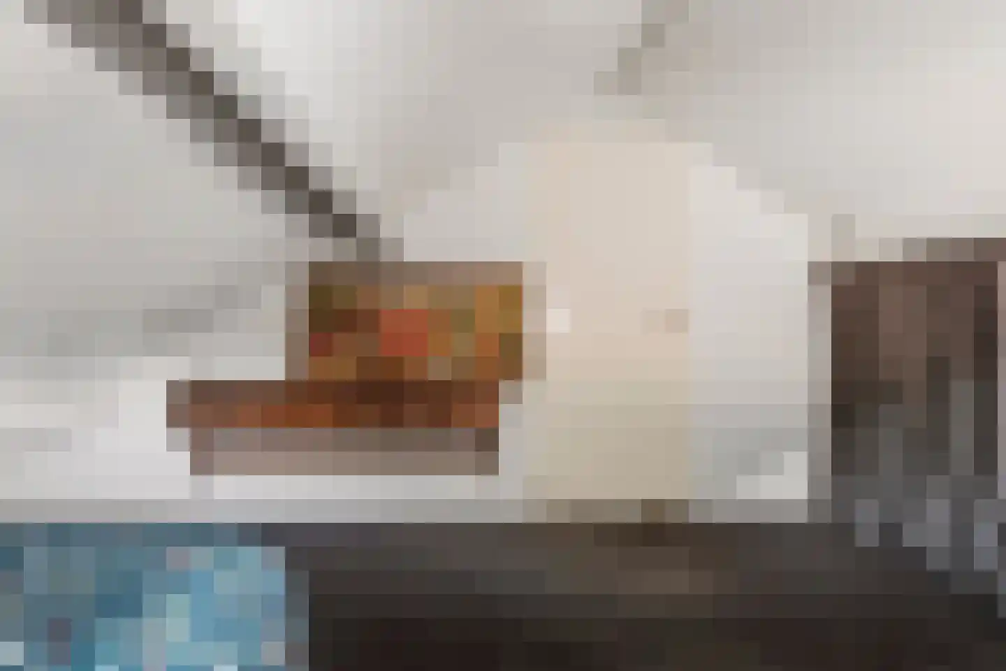 Directeur Trompstraat 1 Ewijk thumbnail 33
