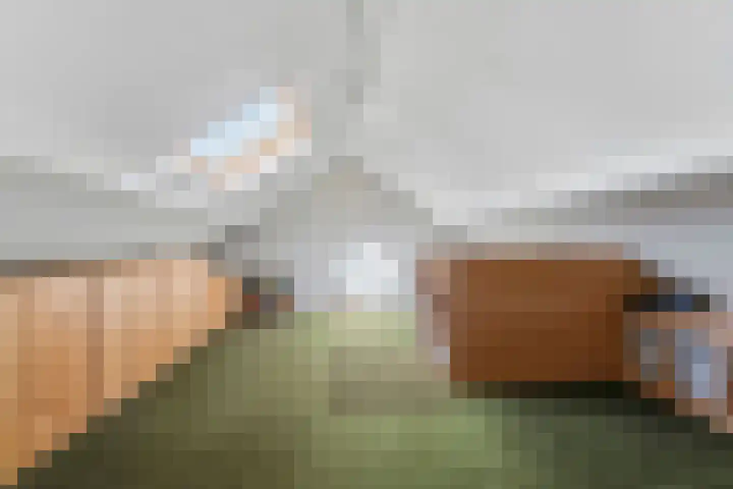 Directeur Trompstraat 1 Ewijk thumbnail 34