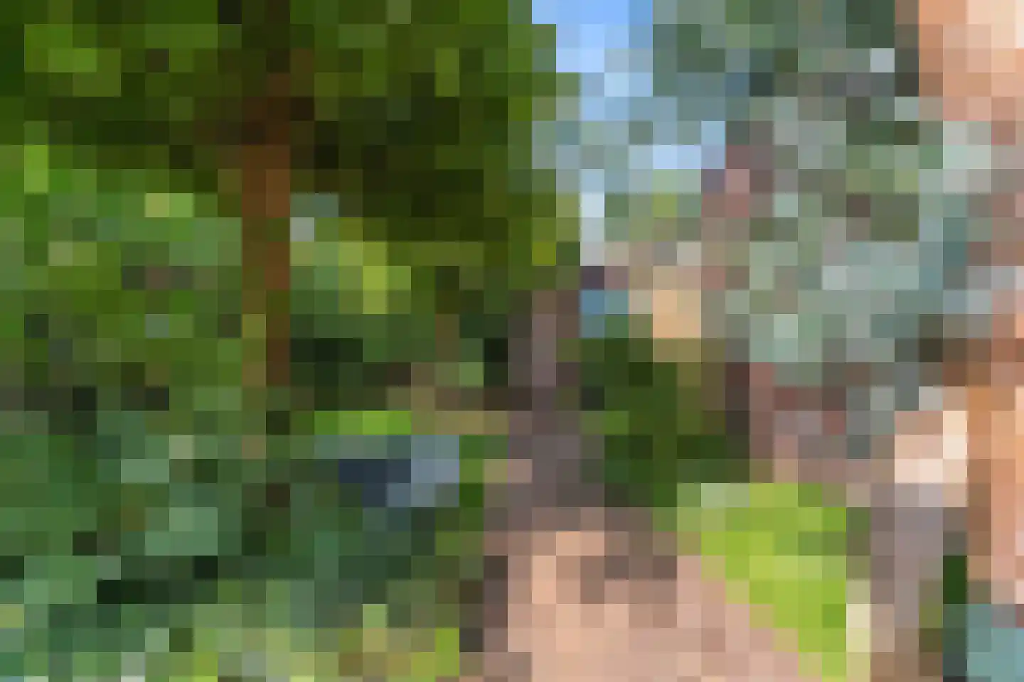 Directeur Trompstraat 1 Ewijk thumbnail 38