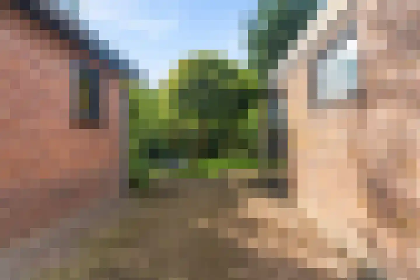 Directeur Trompstraat 1 Ewijk thumbnail 40