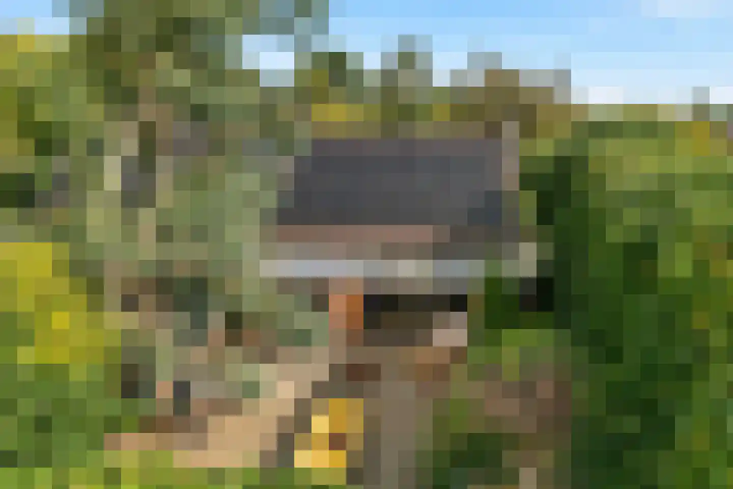 Directeur Trompstraat 1 Ewijk thumbnail 45