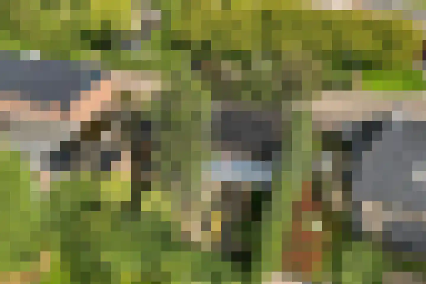 Directeur Trompstraat 1 Ewijk thumbnail 46