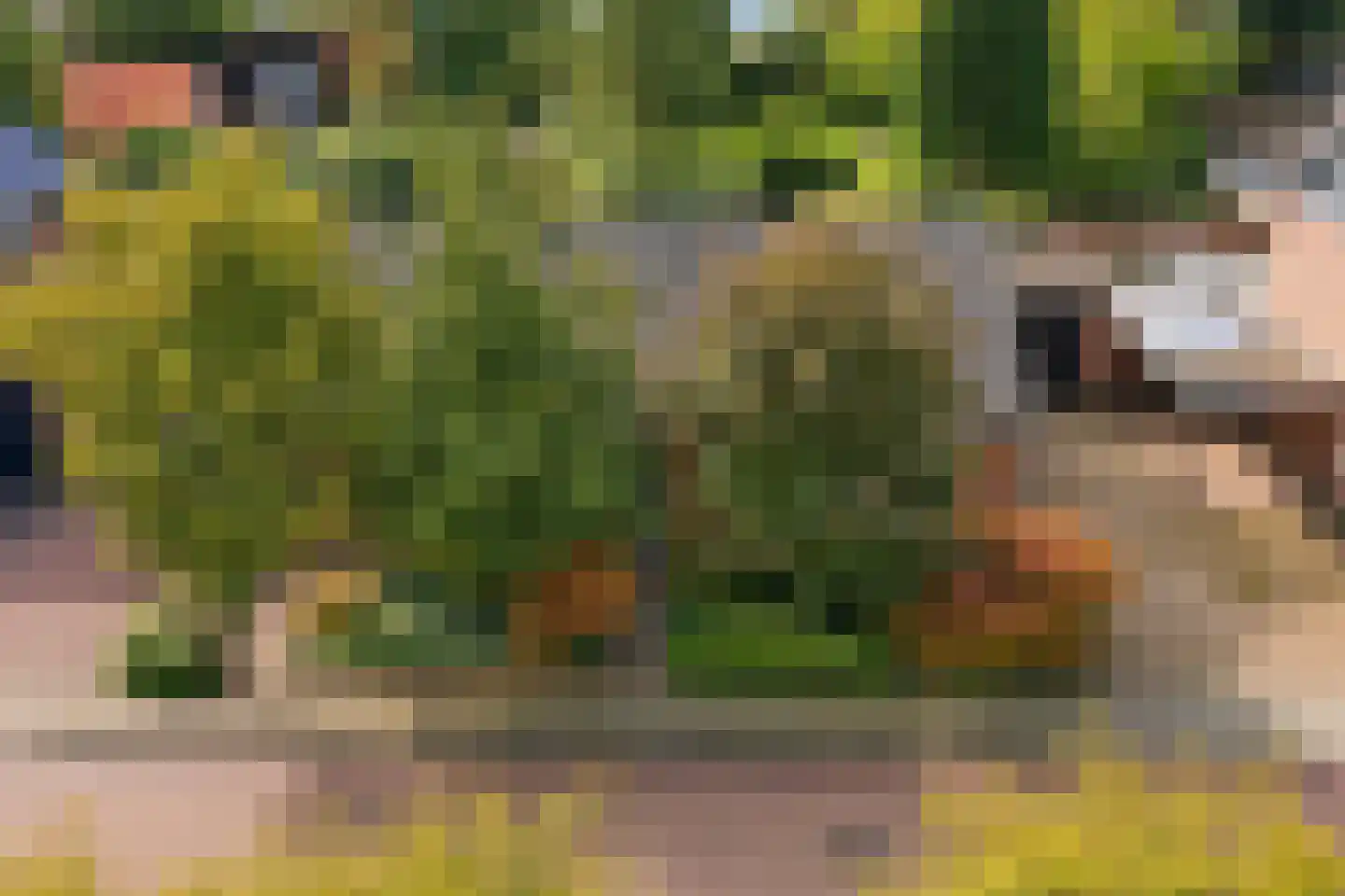 Directeur Trompstraat 1 Ewijk thumbnail 47