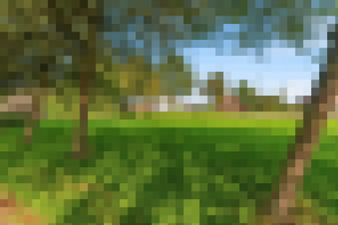 Directeur Trompstraat 1 Ewijk thumbnail 54