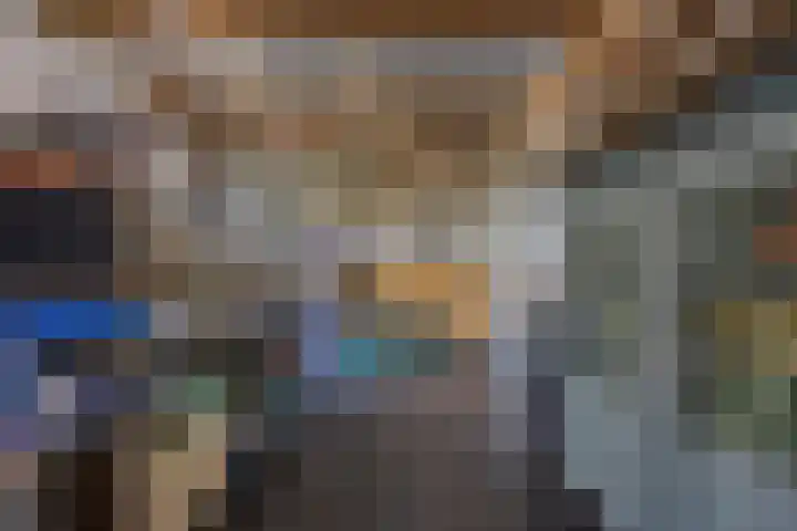 Directeur Trompstraat 35 Ewijk thumbnail 30