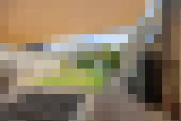 Directeur Trompstraat 35 Ewijk thumbnail 31