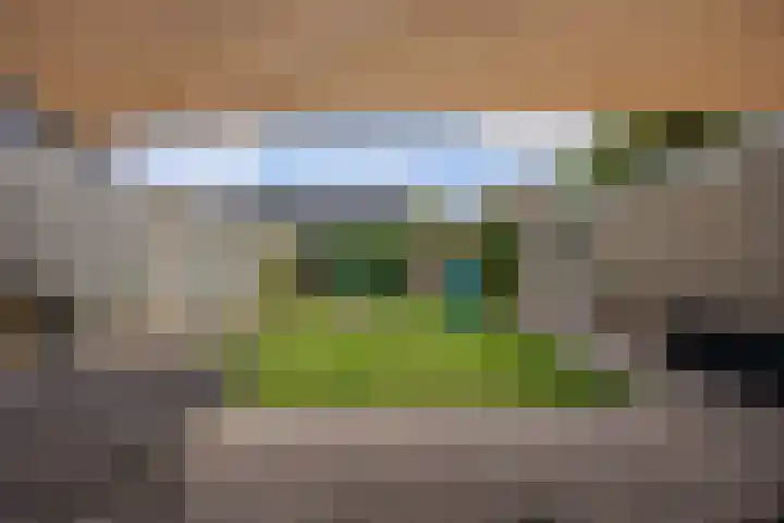 Directeur Trompstraat 35 Ewijk thumbnail 35