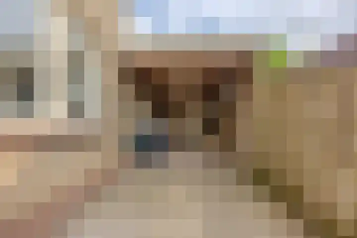 Directeur Trompstraat 35 Ewijk thumbnail 36