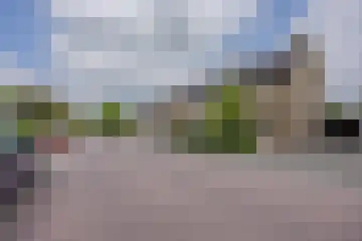 Directeur Trompstraat 35 Ewijk thumbnail 37