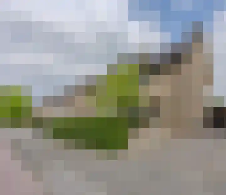 Directeur Trompstraat 35 Ewijk thumbnail 39