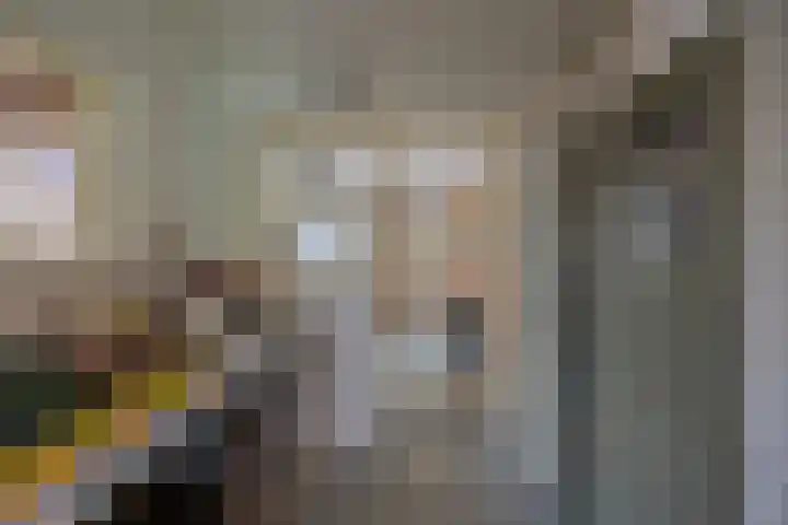 Directeur Trompstraat 35 Ewijk thumbnail 7