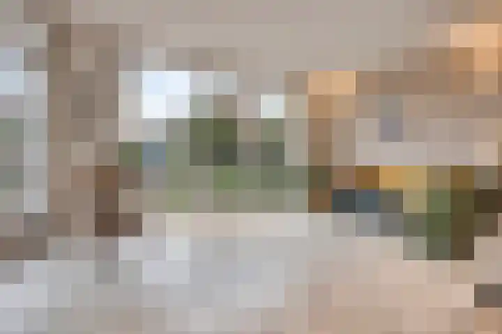 Directeur Trompstraat 8 Ewijk thumbnail 12