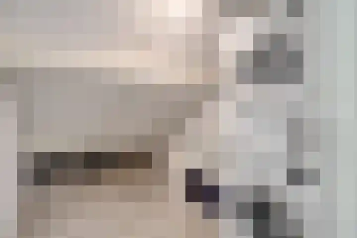 Directeur Trompstraat 8 Ewijk thumbnail 31