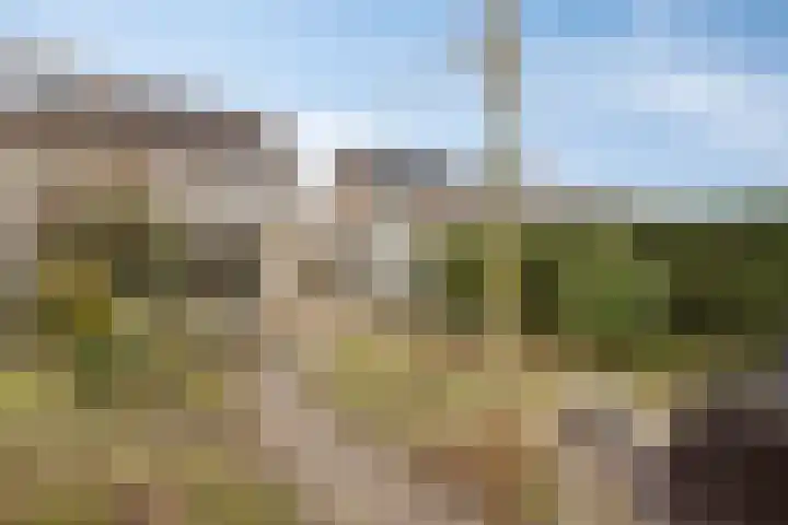 Directeur Trompstraat 8 Ewijk thumbnail 36