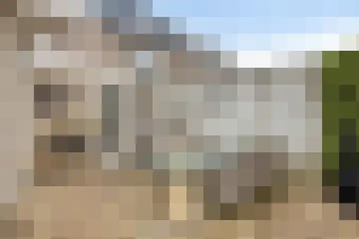Directeur Trompstraat 8 Ewijk thumbnail 37