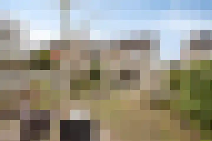 Directeur Trompstraat 8 Ewijk thumbnail 38