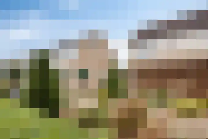 Directeur Trompstraat 8 Ewijk thumbnail 39
