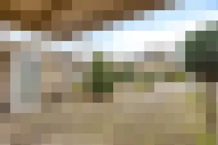 Directeur Trompstraat 8 Ewijk thumbnail 7