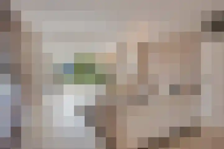 Directeur Trompstraat 8 Ewijk thumbnail 9