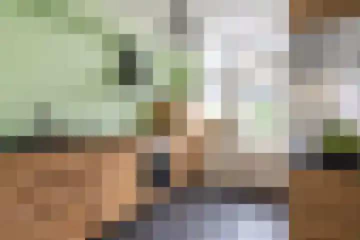 Directeur van der Mühlenlaan 41 Kerkrade thumbnail 10