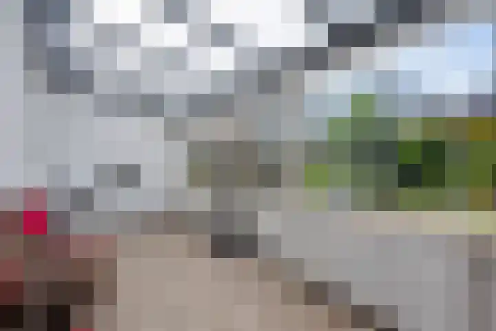 Directeur van der Mühlenlaan 41 Kerkrade thumbnail 14