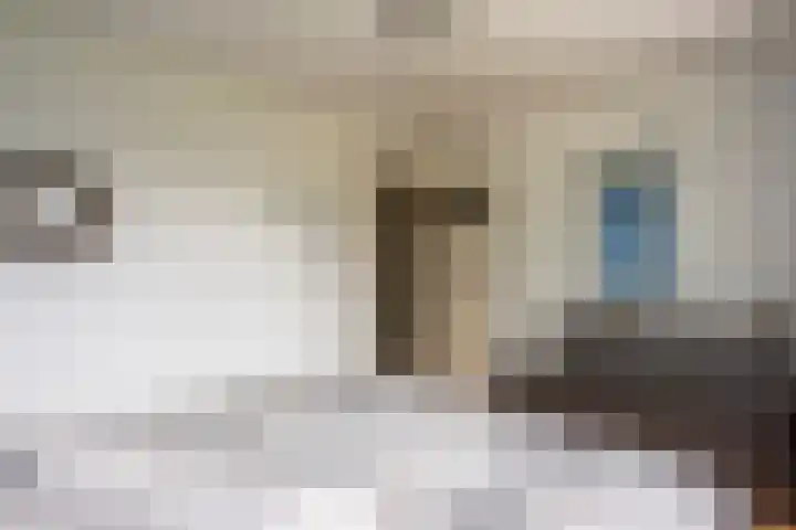 Directeur van der Mühlenlaan 41 Kerkrade thumbnail 21
