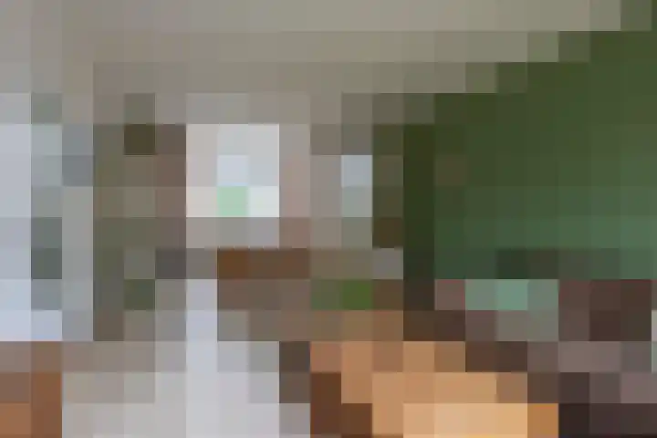 Directeur van der Mühlenlaan 41 Kerkrade thumbnail 5