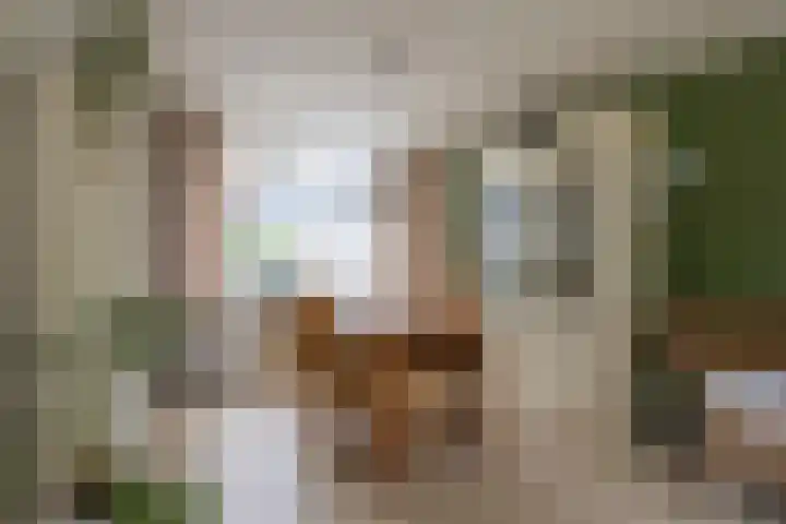 Directeur van der Mühlenlaan 41 Kerkrade thumbnail 6