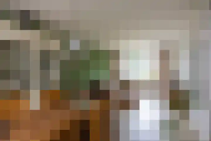 Directeur van der Mühlenlaan 41 Kerkrade thumbnail 7