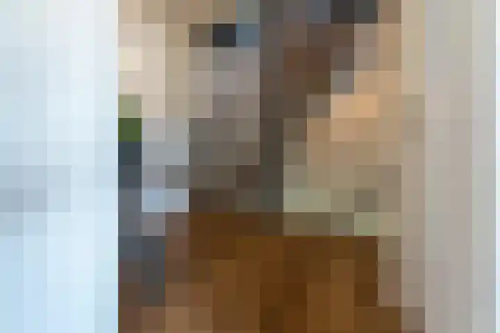 Directeur van der Mühlenlaan 45 Kerkrade thumbnail 19
