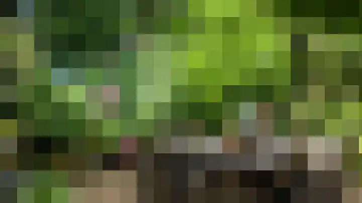 Directeur van der Mühlenlaan 45 Kerkrade thumbnail 32