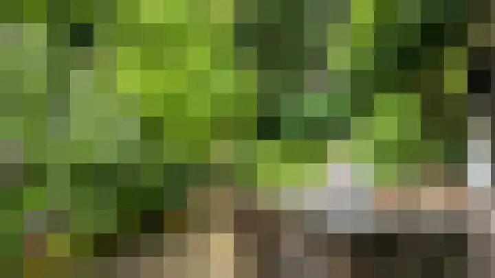 Directeur van der Mühlenlaan 45 Kerkrade thumbnail 33