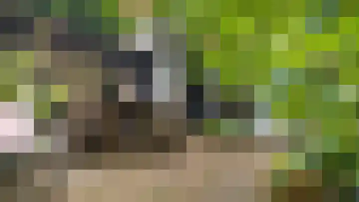 Directeur van der Mühlenlaan 45 Kerkrade thumbnail 36