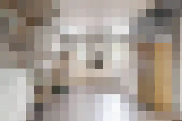 Dirgelen 99 Stein thumbnail 18