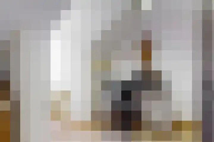 Dirgelen 99 Stein thumbnail 29