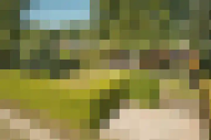 Dirigentenlaan 7 b Tilburg thumbnail 8
