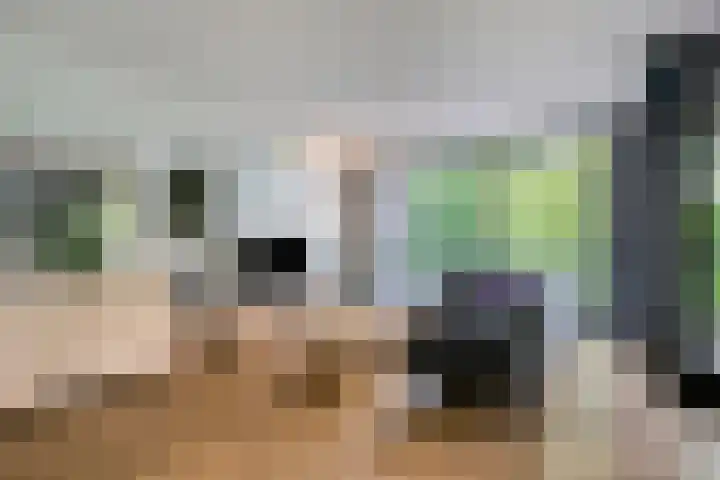 Dirigentenlaan 9 d Tilburg thumbnail 13