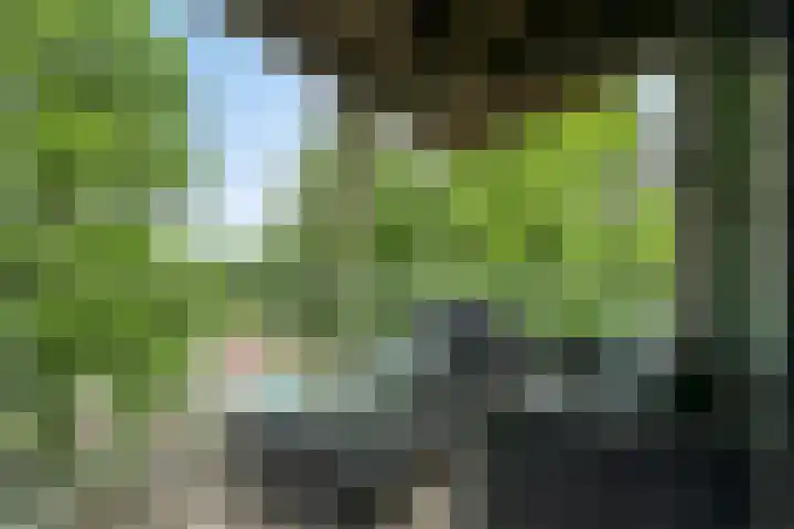 Dirigentenlaan 9 d Tilburg thumbnail 25