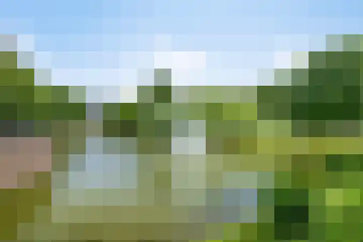 Dirigentenlaan 9 d Tilburg thumbnail 33