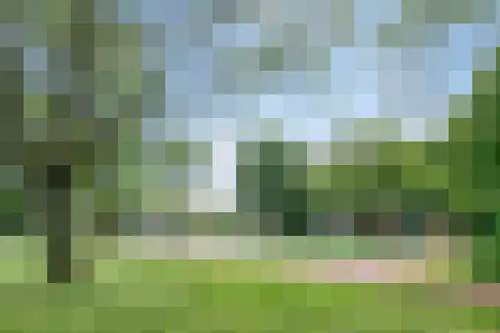 Dirigentenlaan 9 d Tilburg thumbnail 34
