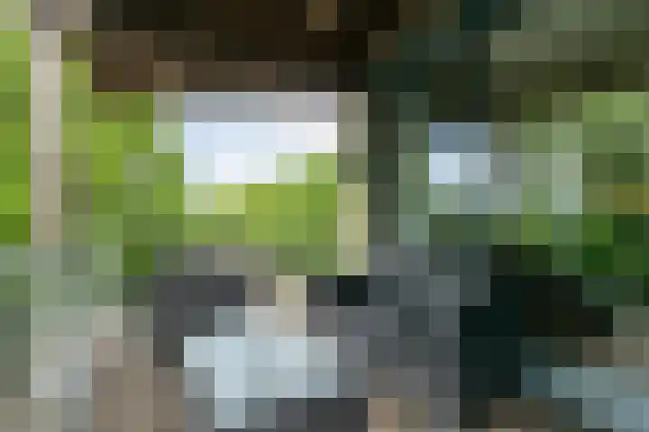 Dirigentenlaan 9 d Tilburg thumbnail 5