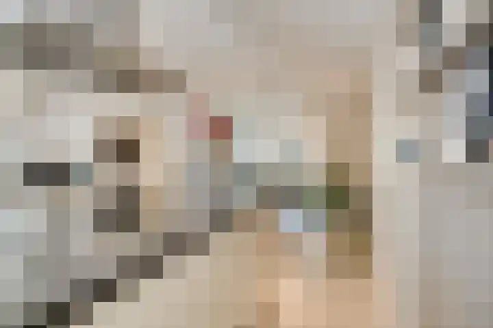 Dirigenthof 3 Nuenen thumbnail 10