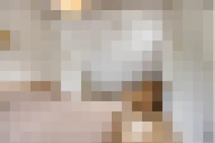 Dirigenthof 3 Nuenen thumbnail 15