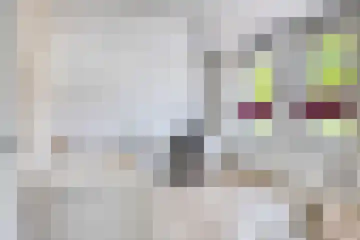 Dirigenthof 3 Nuenen thumbnail 18