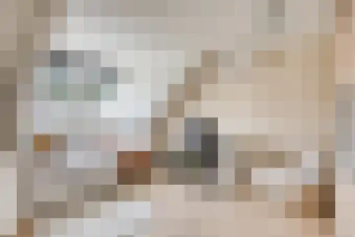 Dirigenthof 3 Nuenen thumbnail 24