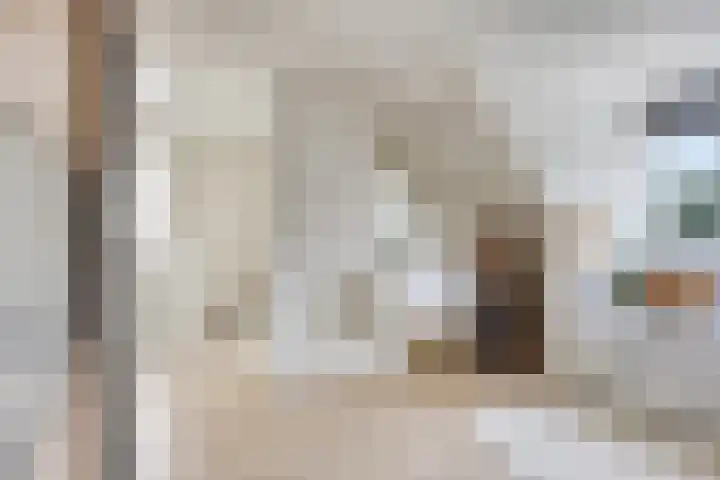 Dirigenthof 3 Nuenen thumbnail 25