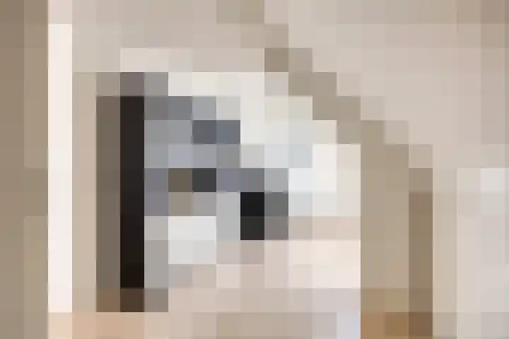 Dirigenthof 3 Nuenen thumbnail 26