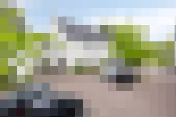 Dirigenthof 3 Nuenen thumbnail 30