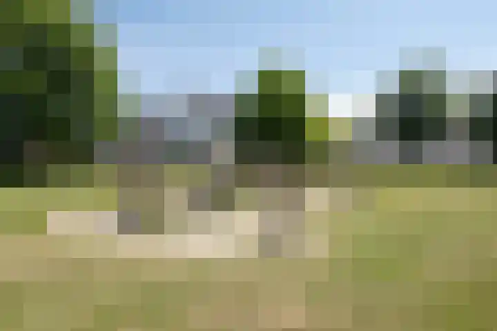 Dirigenthof 3 Nuenen thumbnail 31