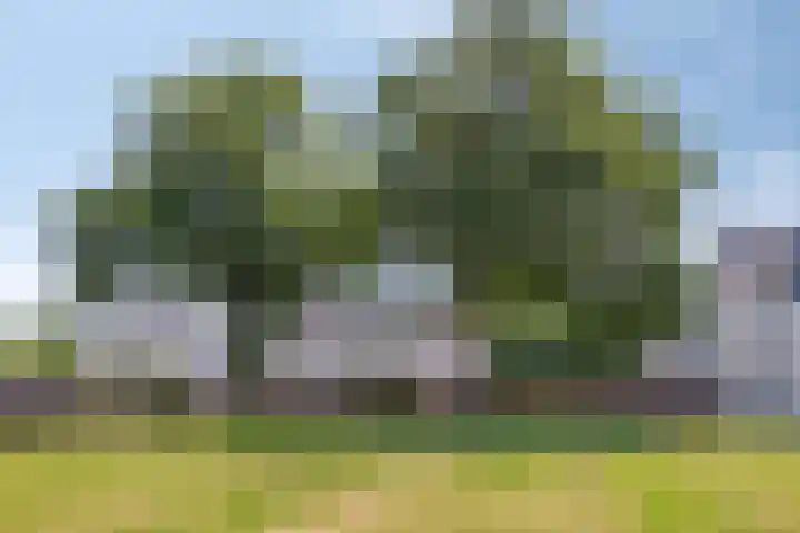 Dirigenthof 3 Nuenen thumbnail 32